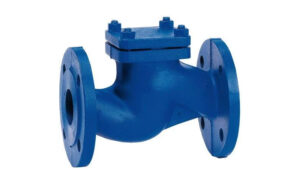 Lift Type Non Return Valve